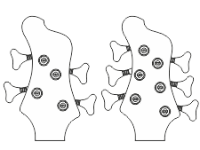 Typowy dwustronny układ stroików na główce czterostrunowej oraz sześciostrunowej gitary basowej