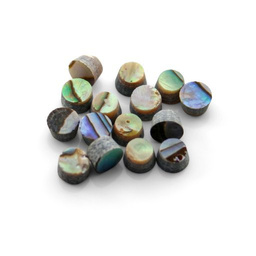 Oznaczenia na gryf - markery z abalone - 4 mm