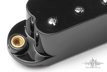 Duckbuckers™ SDBR-1