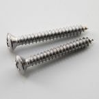 Śruby do mostków 3,0x25