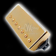 Humbucker Bare Knuckle Warpig 7 - Złota puszka, bridge